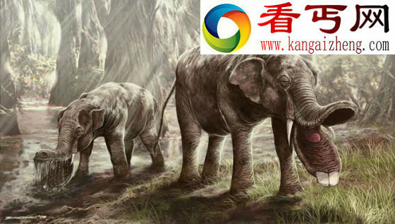 神秘奇异的史前铲齿象嘴大似巨大铁铲