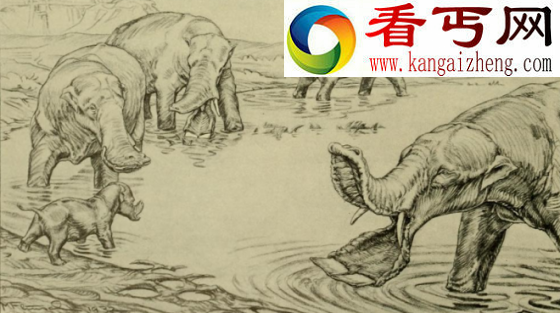 神秘奇异的史前铲齿象嘴大似巨大铁铲