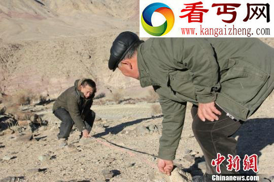 新疆发现尚无史料记载的“西外提古城遗址”/组图 