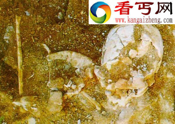 距今28万年的金牛山人挑战“非洲起源说”