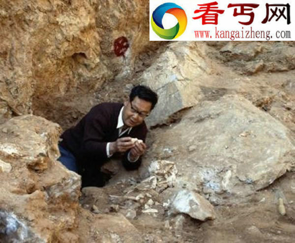 距今28万年的金牛山人挑战“非洲起源说”