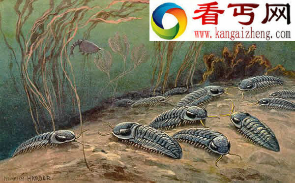  解密远古三叶虫的生活方式