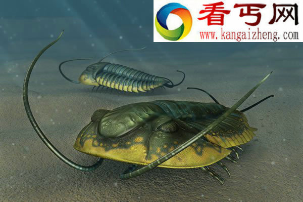  解密远古三叶虫的生活方式