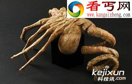 3亿年前形状诡异化石成异形灵感来源 