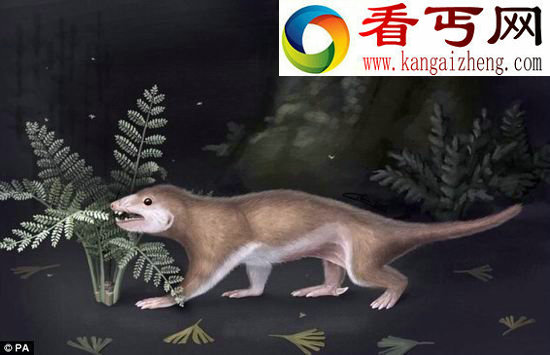 远古巨齿兽是人类的“曾曾叔父”
