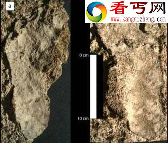 墨西哥现北美最古老人类足印