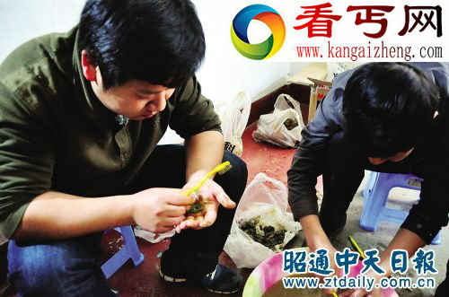 盐津墨石湾汉代古墓发掘始末