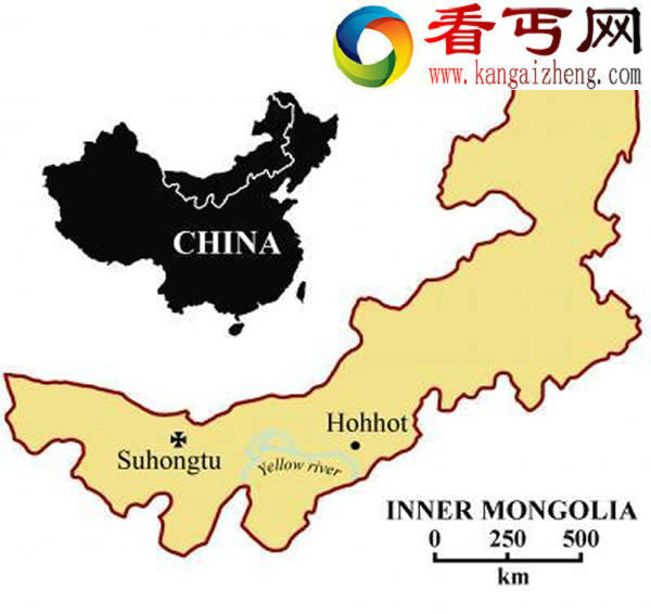 内蒙古泥沼中一群似鸟龙九千万年前集体死亡