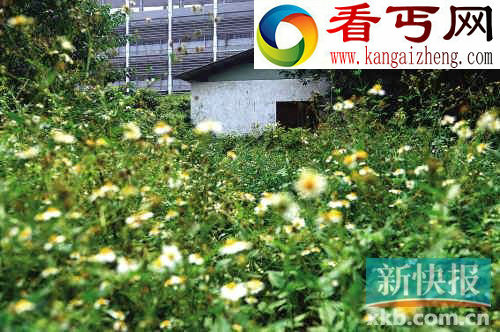 四大古迹跨越千年无人理