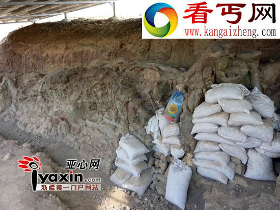 中国最大恐龙化石在鄯善七克台荒漠被发现