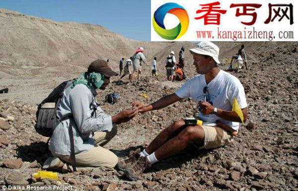 人类从树上走下地面时间比预计要晚