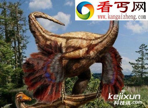 美国首出土有羽毛恐龙