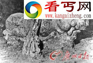 随俑穿越 广州先民曾雇“昆仑奴”？