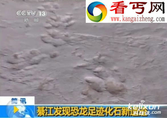 重庆綦江发现恐龙足迹化石新遗迹