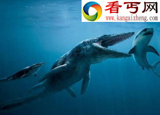 海洋史上最大的掠食动物，沧龙体长21米生吞鲨鱼
