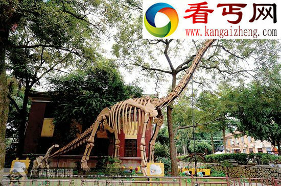 ＂赵氏扶绥龙＂化石展带你＂穿越＂白垩纪