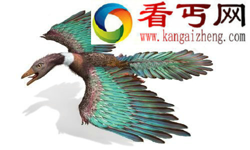 11种独特恐龙鼠龙迄今发现的最小的恐龙