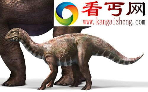 11种独特恐龙鼠龙迄今发现的最小的恐龙