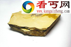 动物化石