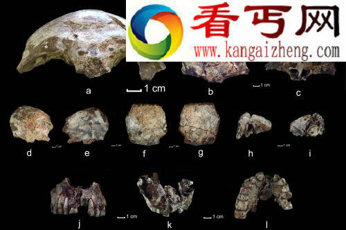 老挝发现至少有四五万年历史人类头骨化石