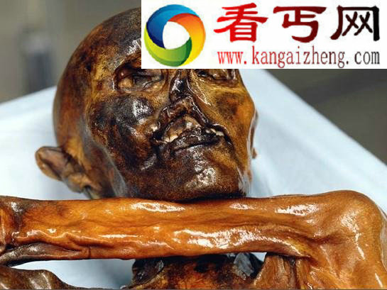 冰冻木乃伊发现全过程(多图)