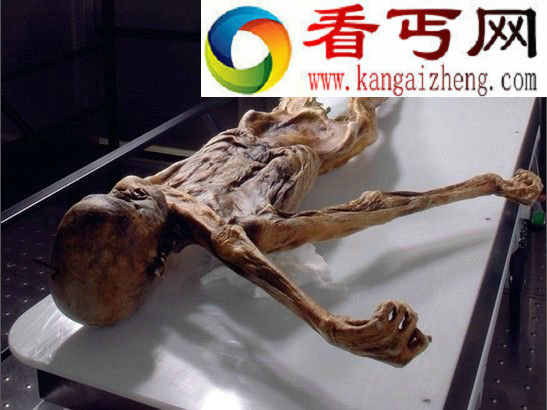 冰冻木乃伊发现全过程(多图)