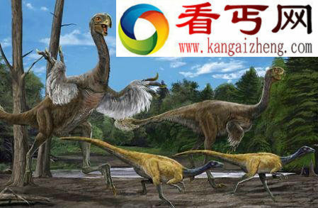 内蒙古发现当今世界上最大似鸟恐龙化石(图)