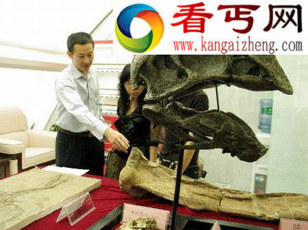 内蒙古发现当今世界上最大似鸟恐龙化石(图)