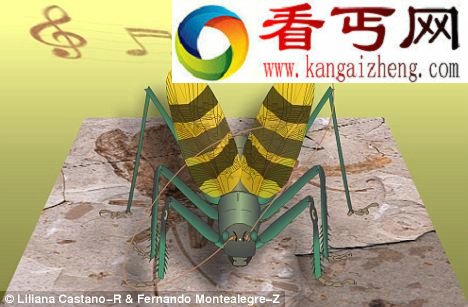 中国昆虫化石再现1.65亿年前蟋蟀叫声(图) 