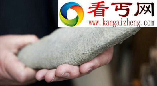化石的发现地在4.5亿年前曾被海洋覆盖,促使费纳认为化石的主人可能是一只海葵 美古生物学家发现4.5亿年前未知物种奇特化石
