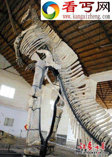 分布1500平方公里世界最大恐龙化石群探秘