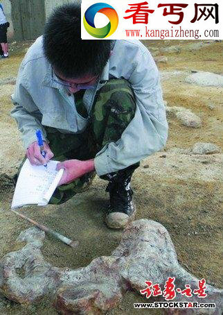 分布1500平方公里世界最大恐龙化石群探秘