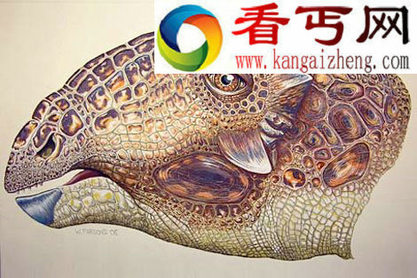 神奇恐龙新物种盘点坦克甲龙骨质甲刺皮肤 