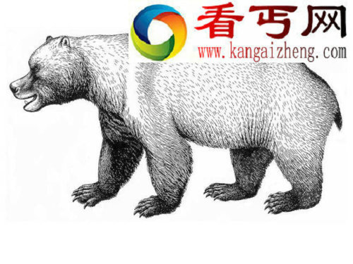 气候变化末次冰期导致远古巨兽穴居熊灭绝 