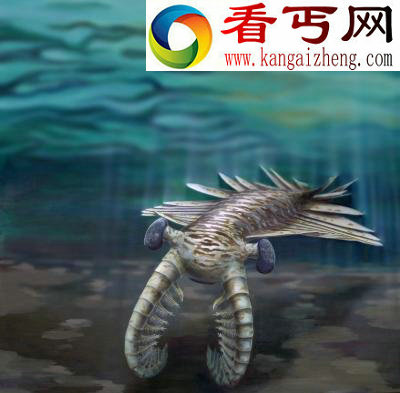(图)澳大利亚发现5亿年前巨型海洋食肉动物化石