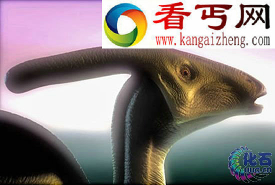 （多图）各种恐龙身体的秘密 那些奇形怪状的恐龙