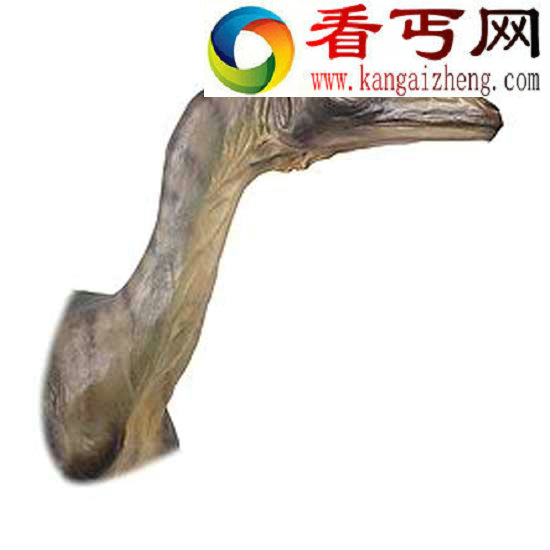 双子盗龙背后的故事 