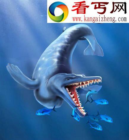 (图) 4900万年前南极古鲸化石:身长6米捕食企鹅