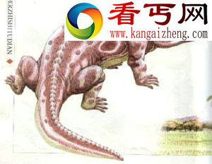 （图）新发现两栖类化石新种莫氏巨头螈身长如鳄鱼 