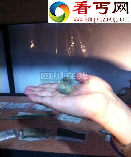 （图）专家考察向家坝水电站淹没区考古遗址 2012年后将被淹没