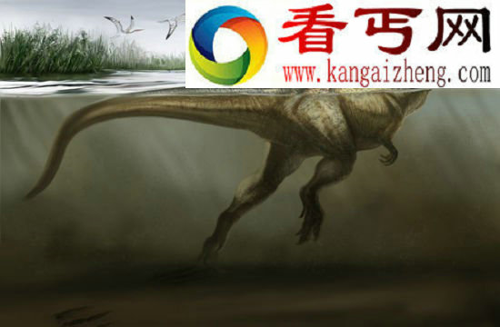 (图)中国发现首例恐龙游泳化石证据