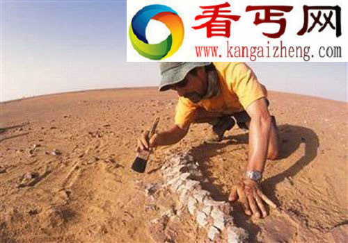 考古学界最具意义的八项骨骼化石发现
