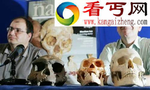 考古学界最具意义的八项骨骼化石发现