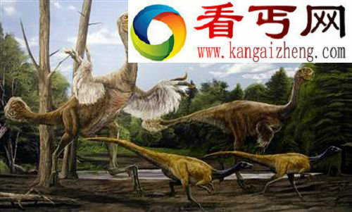考古学界最具意义的八项骨骼化石发现