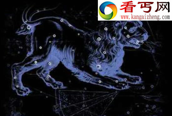 史上超全狮子座流星雨图片，唯美星空令人无限遐想