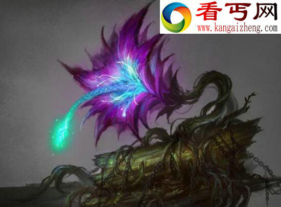 鬼吹灯尸香魔芋，现实存在的死亡之花（致幻）