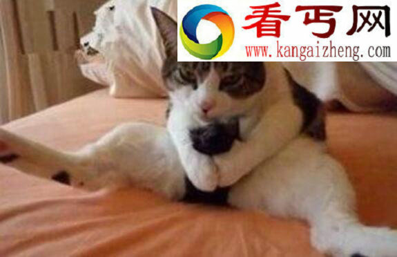 男人怎样撸管最舒服最爽，教你正确的撸管方法与技巧（内附教程）
