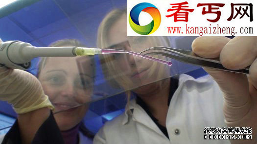 德国科学家利用3D立体打印技术研制出人造血管