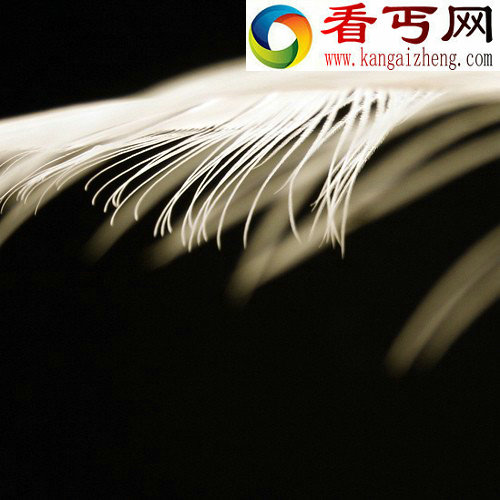 传说中的“天使之羽”是什么？