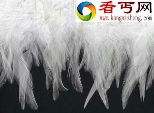 传说中的“天使之羽”是什么？